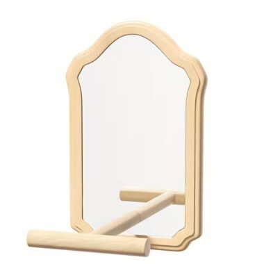 Engaging Bird Mirror