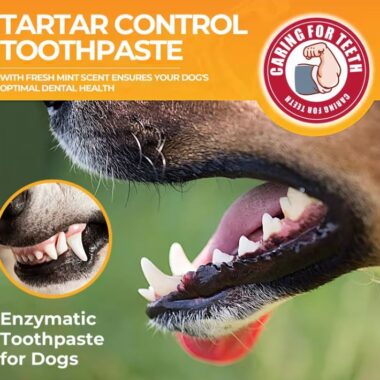 Enzymatic Toothpaste for Dogs