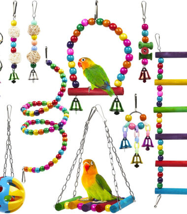 Parrot Combination Toy 10-Piece Set Wooden Bead Rotating Ladder Swing Stand Wooden Ladder Sepak Takraw Chewing Toy