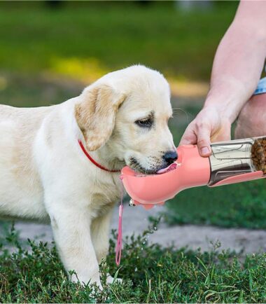 Pet Water Bottle Feeder Bowl Garbage Bag Storage Portable Pet Outdoor Travel 3 In 1 Dog Water Bottle