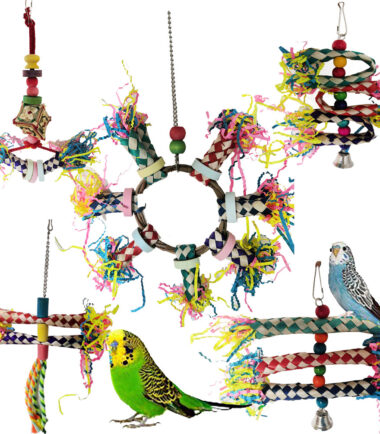 Parrot Bite Toy Set Of 5